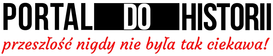 portal-strona-2-YlevN2LLvLt00xvv (6)